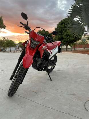 HONDA-XR 300L TORNADO-2025