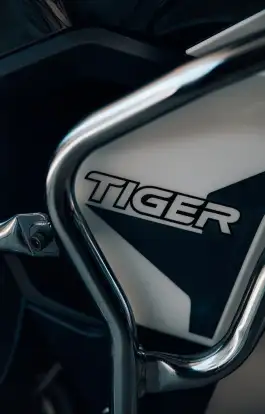 TRIUMPH-TIGER 900 RALLY-2022