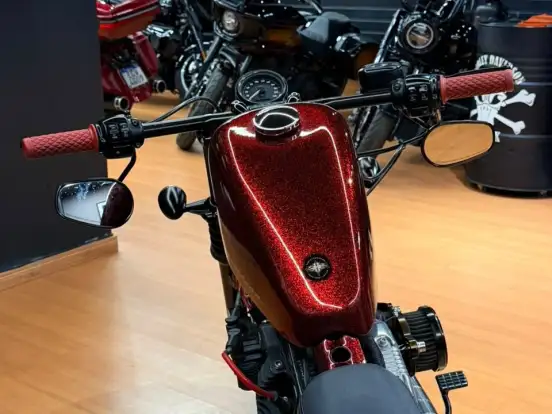 HARLEY-DAVIDSON-SPORTSTER FORTY-EIGHT HARLEY-DAVIDSON-SPORTSTER FORTY-EIGHT-2015