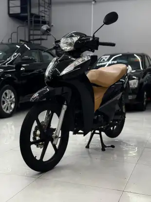 SHINERAY-RAY 50-2022
