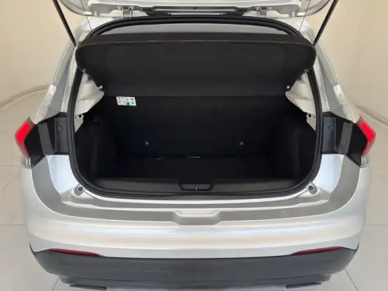 FIAT-PULSE-2025