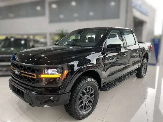 FORD F-150 5.0 V8 GASOLINA CD TREMOR FX4 AUTOMÁTICO