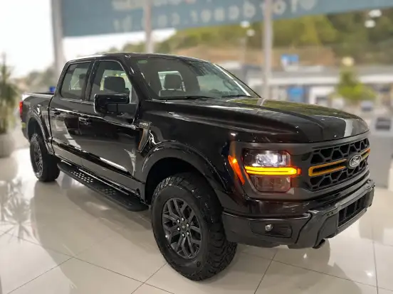 FORD-F-150-5.0 V8 GASOLINA CD TREMOR FX4 AUTOMÁTICO FORD-F-150-2025