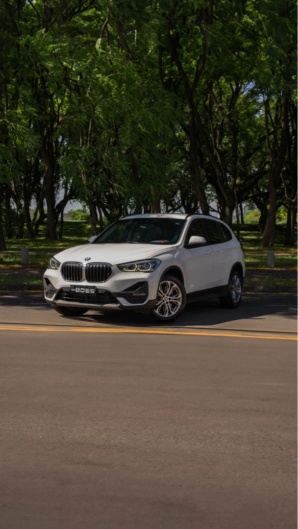 BMW X1 2.0 16V TURBO ACTIVEFLEX SDRIVE20I 4P AUTOMÁTICO