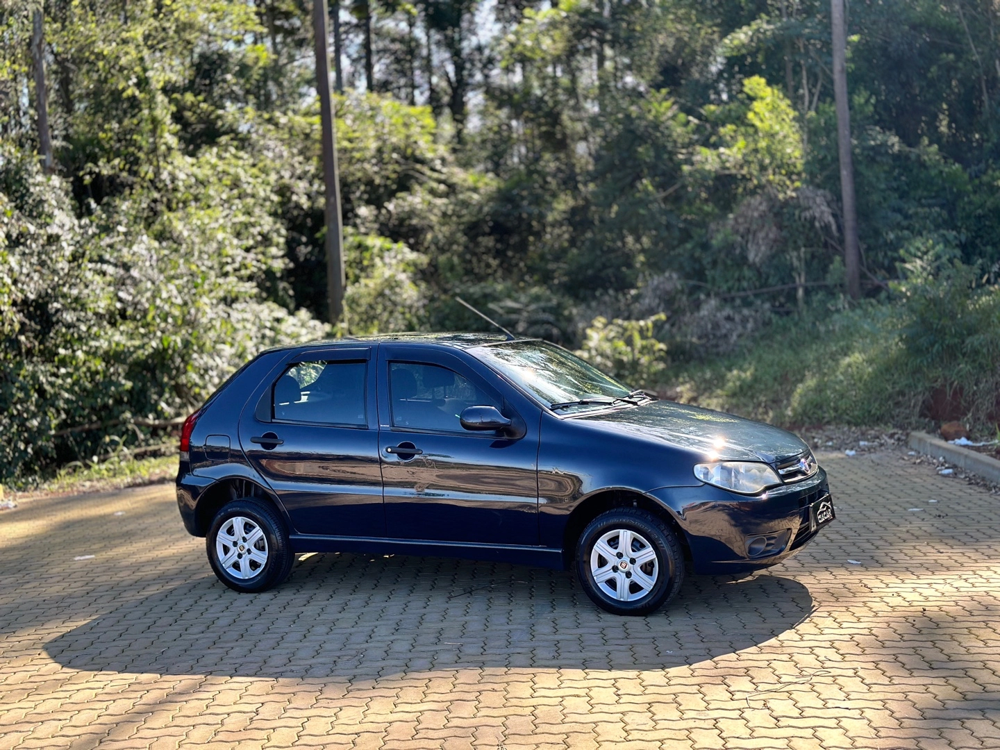 FIAT PALIO 1.0 MPI FIRE ECONOMY 8V FLEX 4P MANUAL