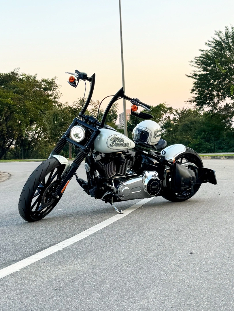 HARLEY-DAVIDSON SOFTAIL BREAKOUT Custom