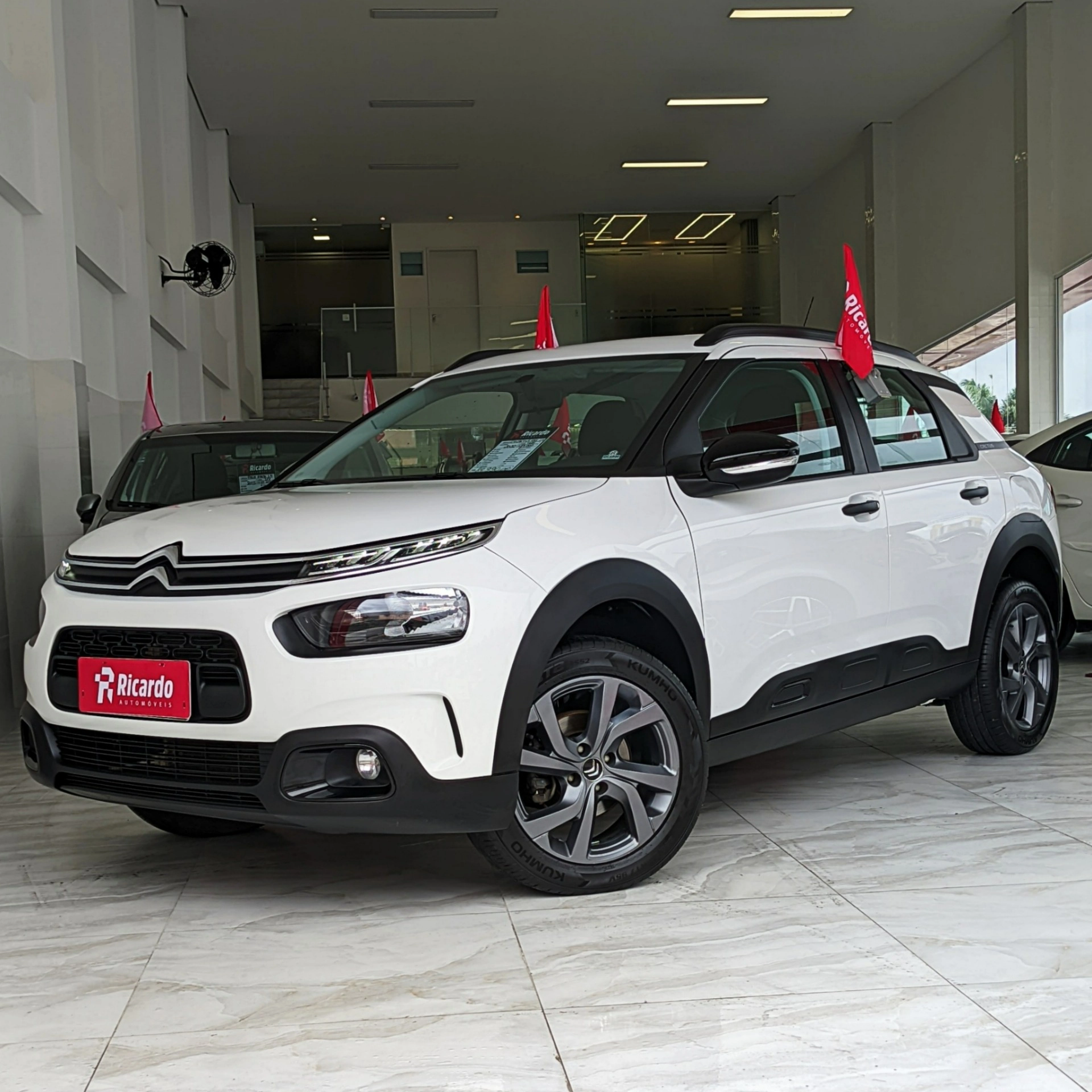 CITROËN C4 CACTUS 1.6 VTI 120 FLEX FEEL EAT6