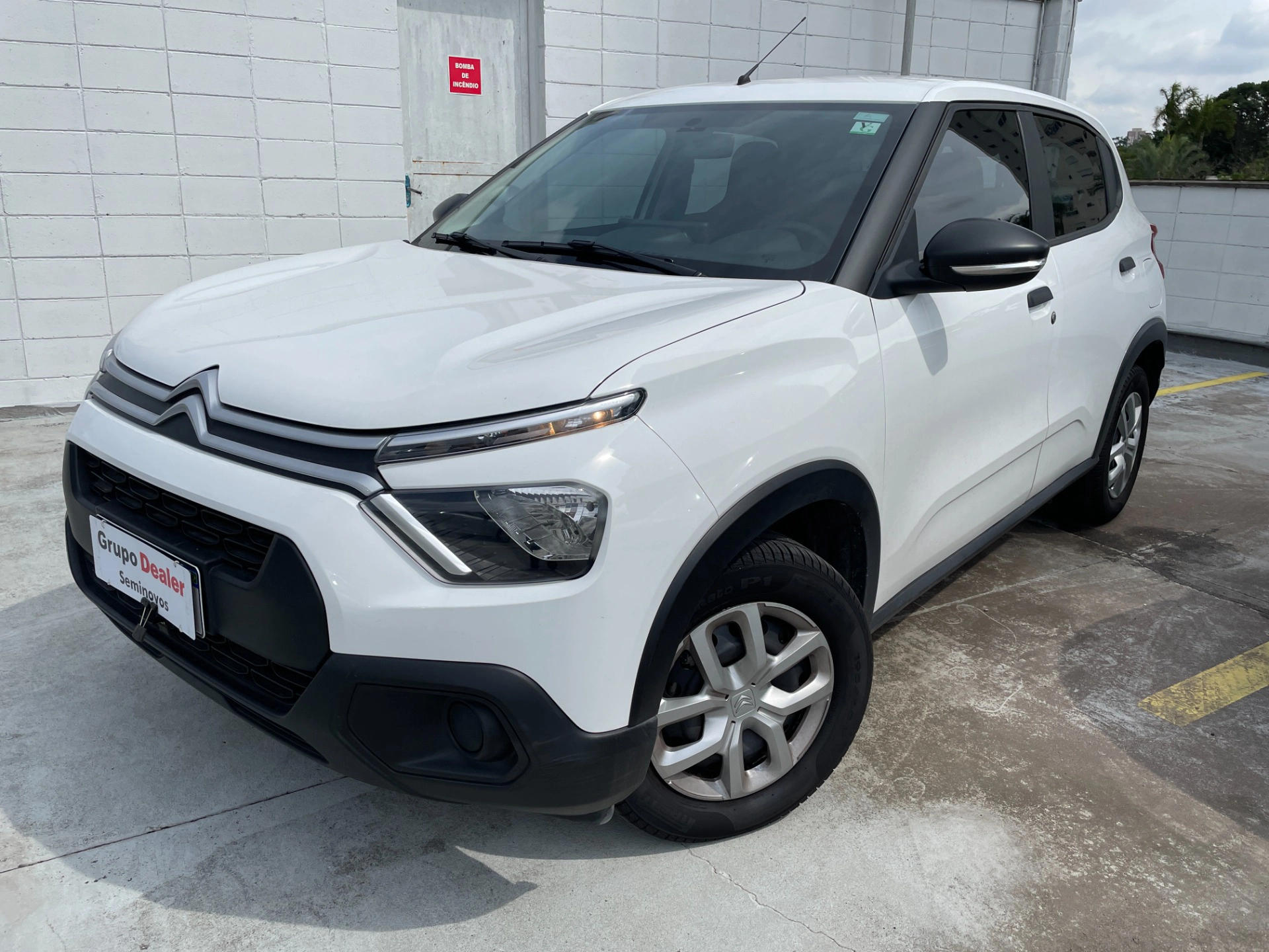 1.0 FIREFLY FLEX LIVE MANUAL