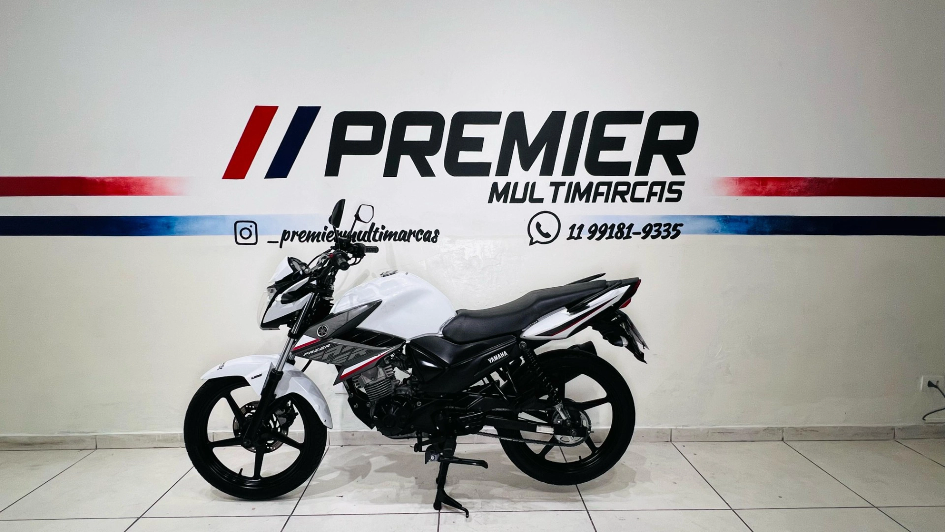 YAMAHA YS 150 FAZER SED Street
