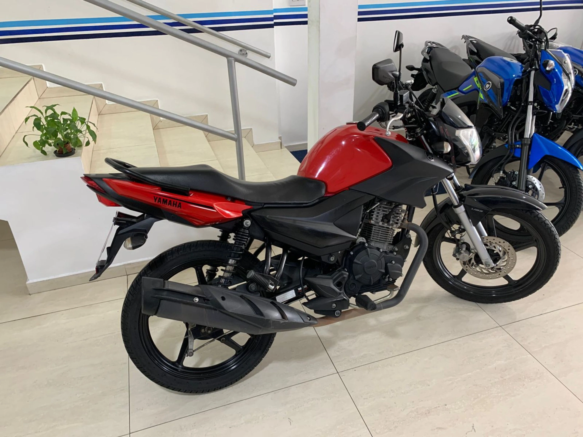 YAMAHA FACTOR YBR 150 ED Street