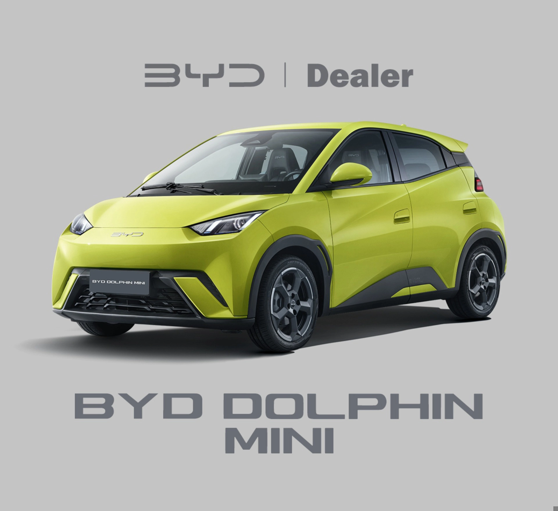 byd DOLPHIN MINI 38 KW ELÉTRICO 5L 2026
