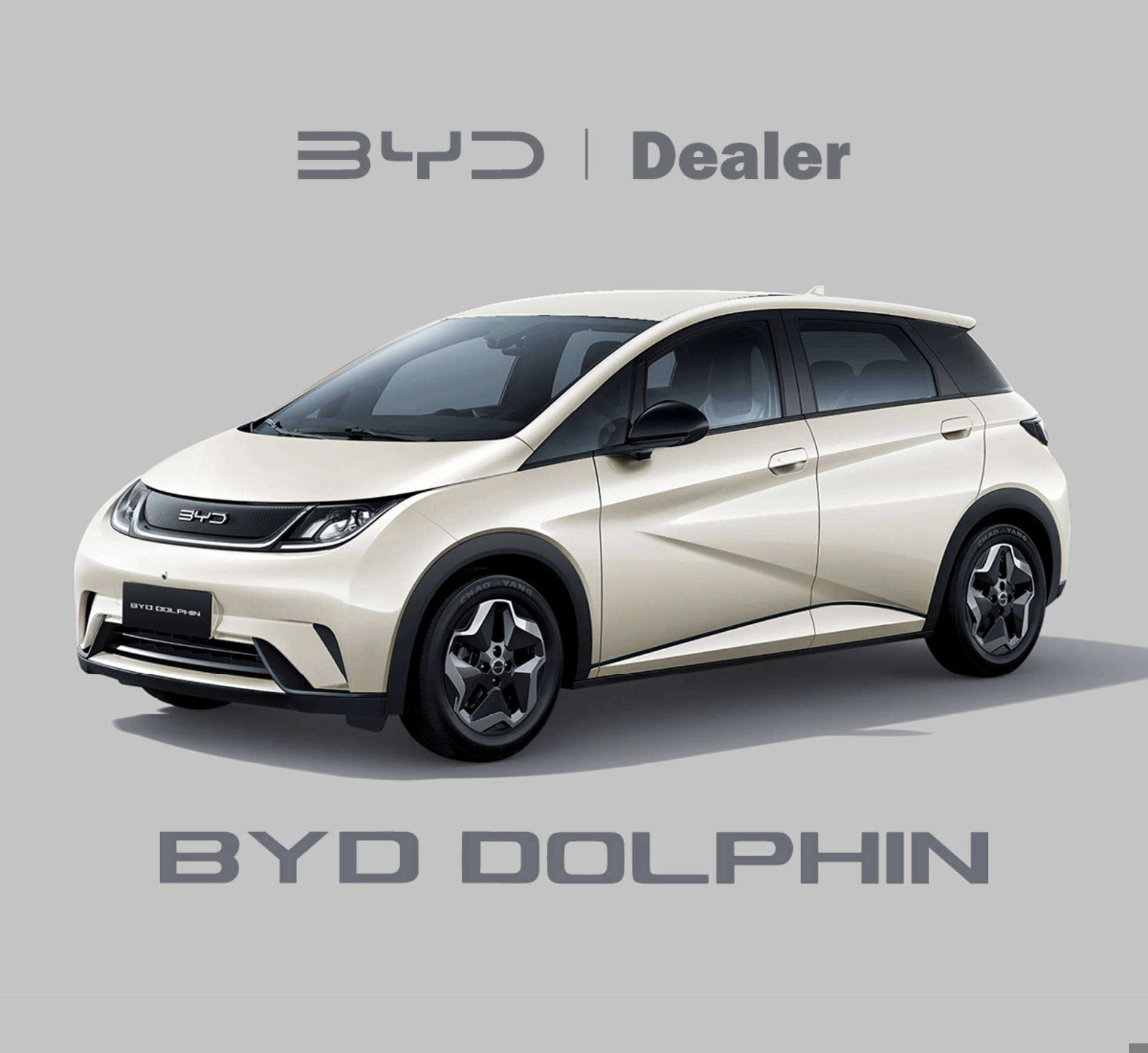 byd DOLPHIN 44,9 KW ELÉTRICO GS 2026