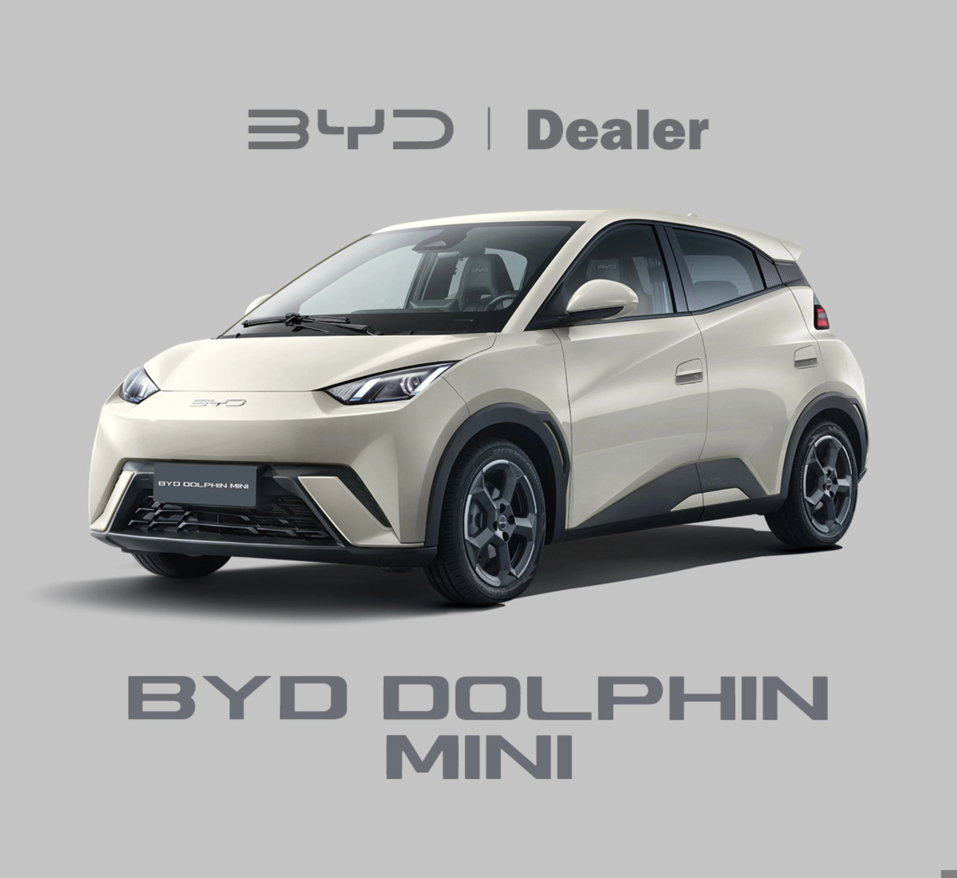 byd DOLPHIN MINI 38 KW ELÉTRICO 5L 2026