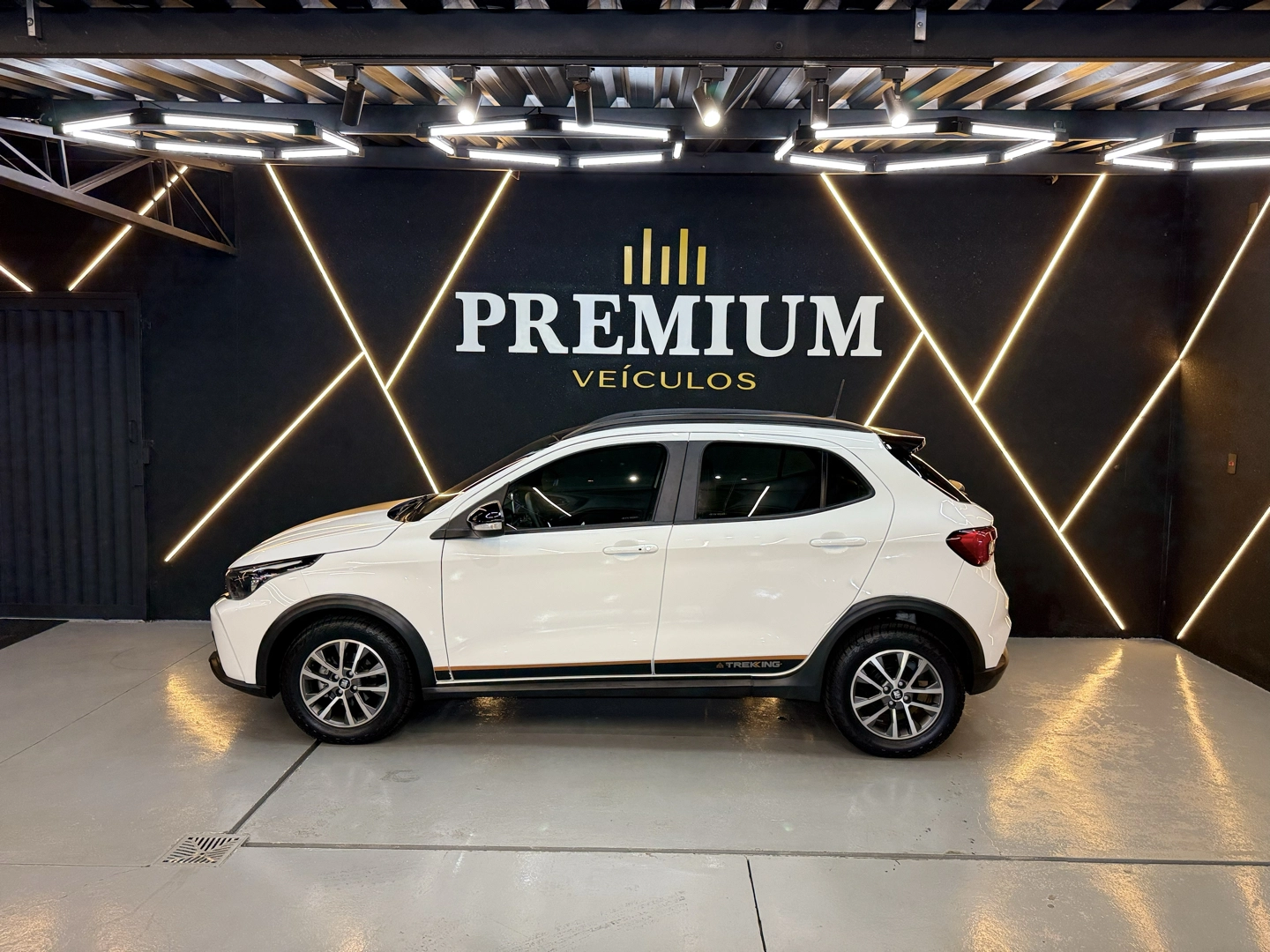 Fiat Argo 1.3 FIREFLY FLEX TREKKING MANUAL