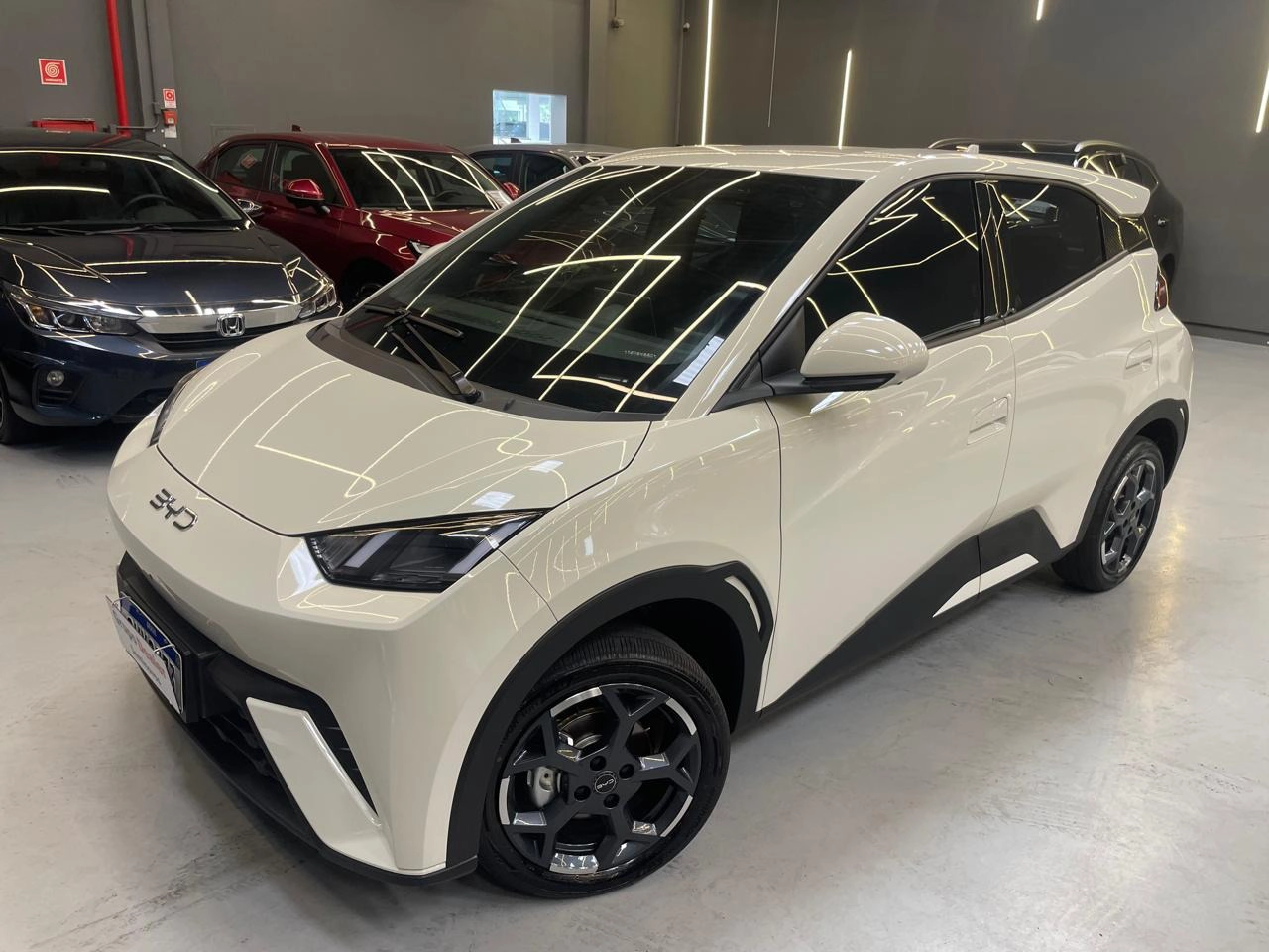 byd DOLPHIN MINI 38 KW ELÉTRICO GS 2026