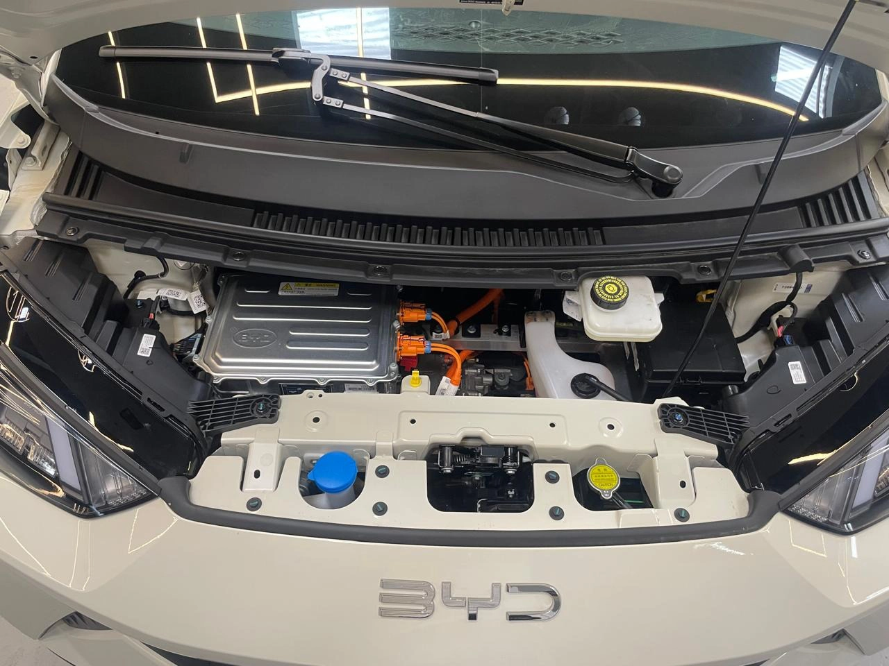 byd DOLPHIN MINI 38 KW ELÉTRICO GS 202611