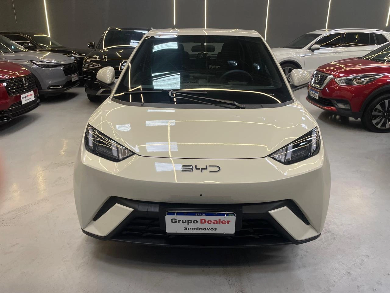 byd DOLPHIN MINI 38 KW ELÉTRICO GS 20262