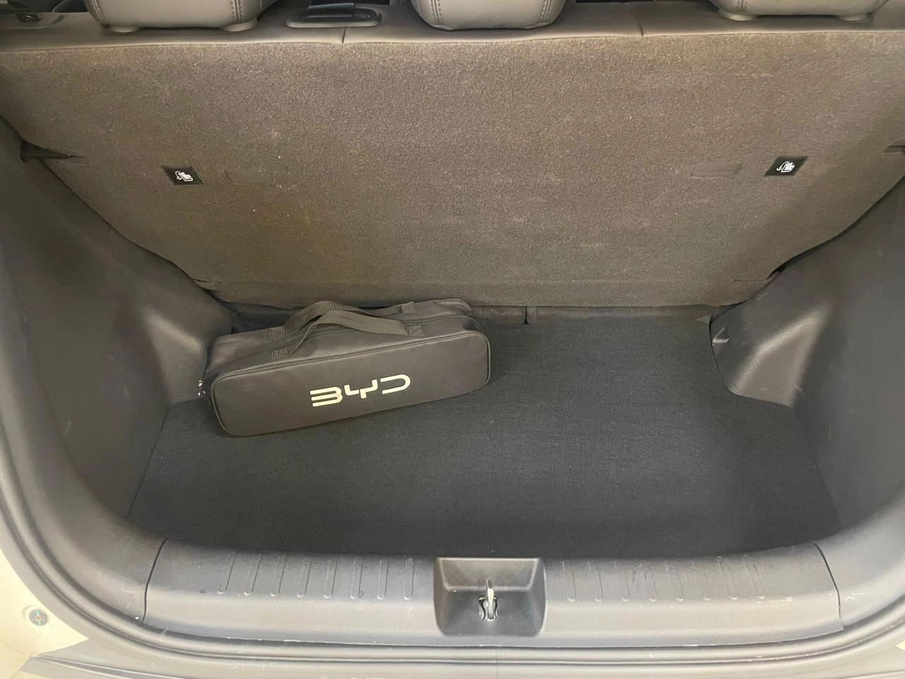byd DOLPHIN MINI 38 KW ELÉTRICO GS 202612