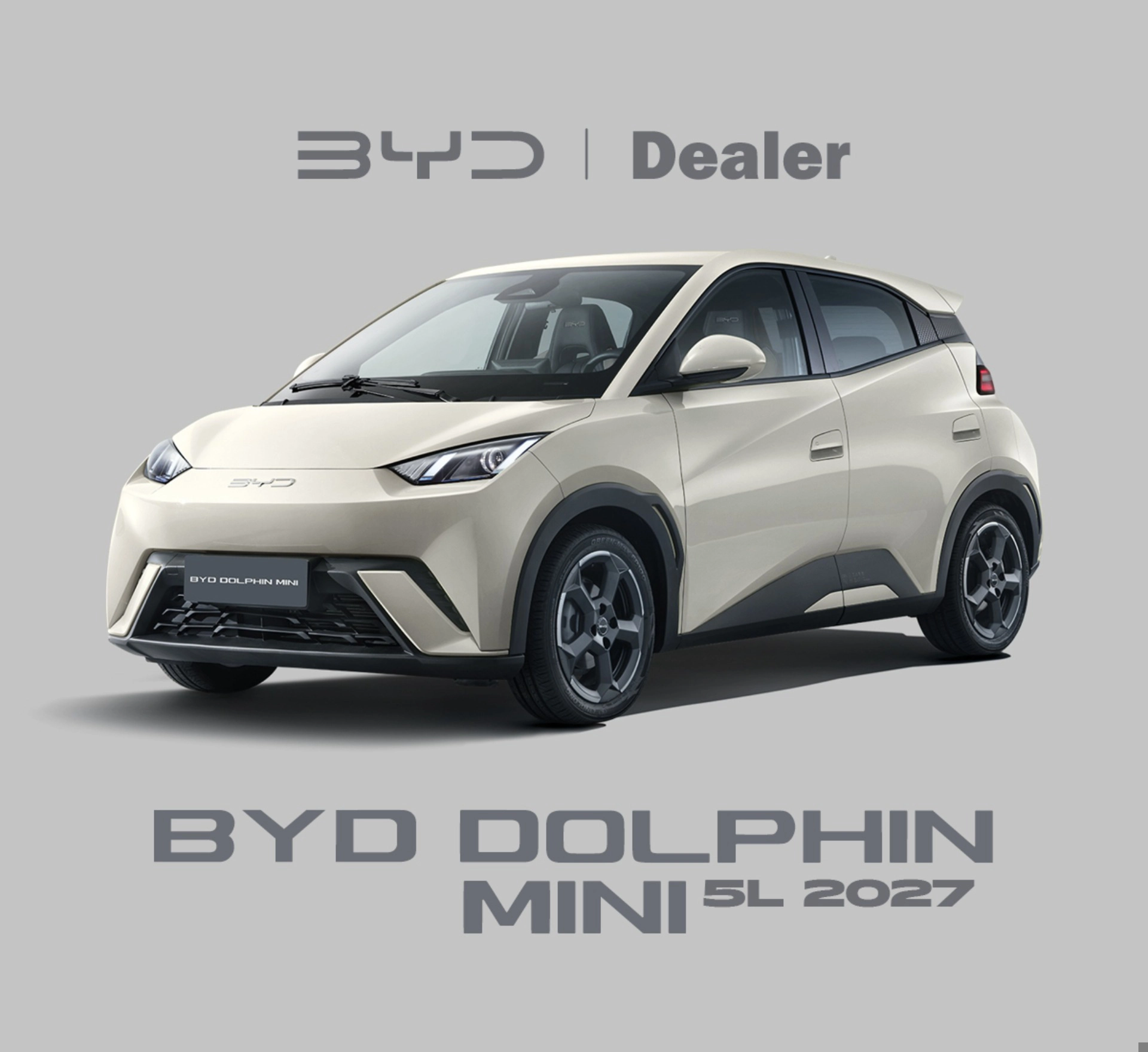 byd DOLPHIN MINI 38 KW ELÉTRICO GS 2027