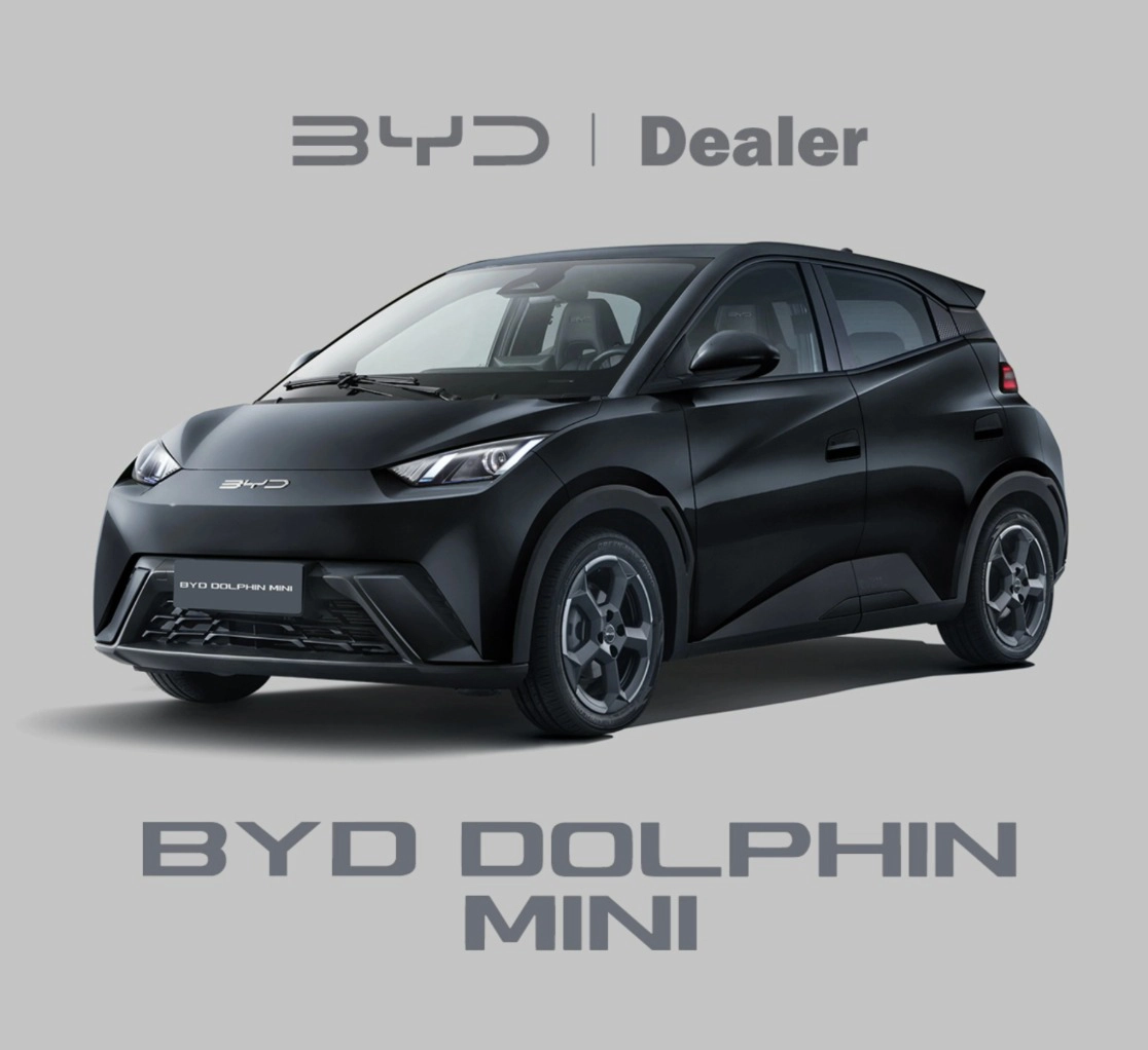 byd DOLPHIN MINI 38 KW ELÉTRICO GS 20271