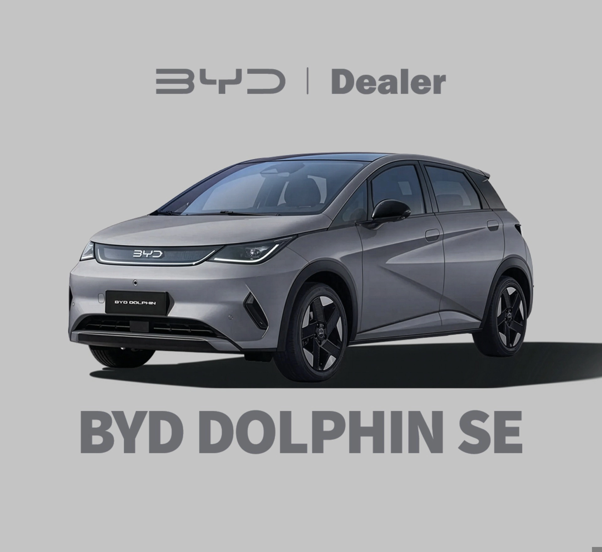 byd DOLPHIN 45,1 KW ELÉTRICO SE 2027
