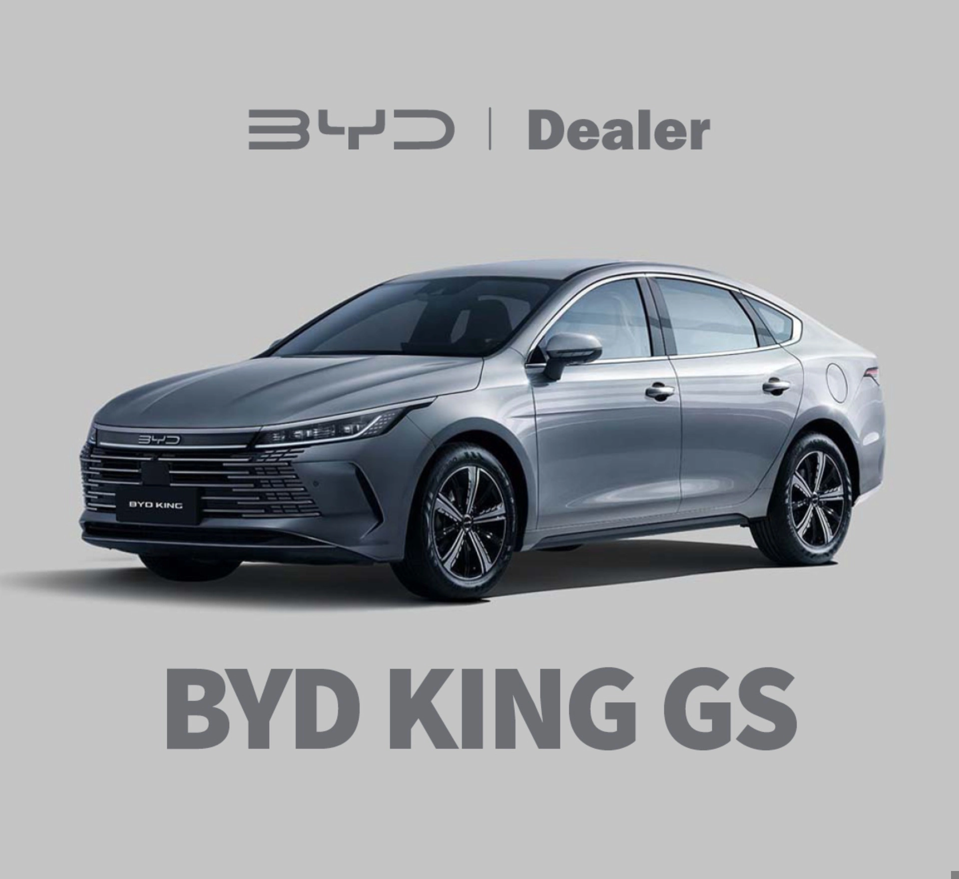 byd KING 1.5 DM-I PHEV GS AUTOMÁTICO 20270
