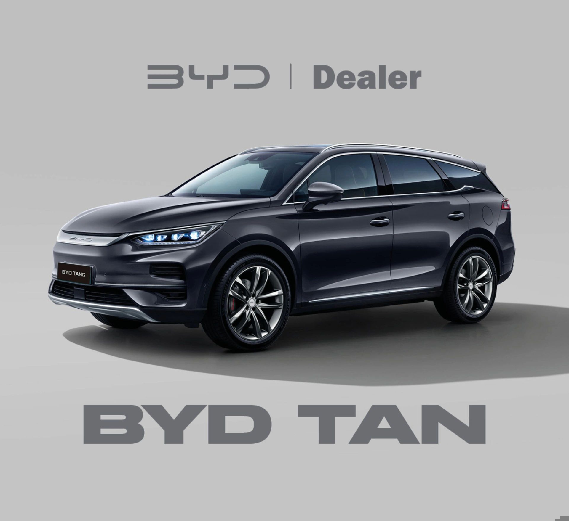 byd TAN ELÉTRICO AWD 20250