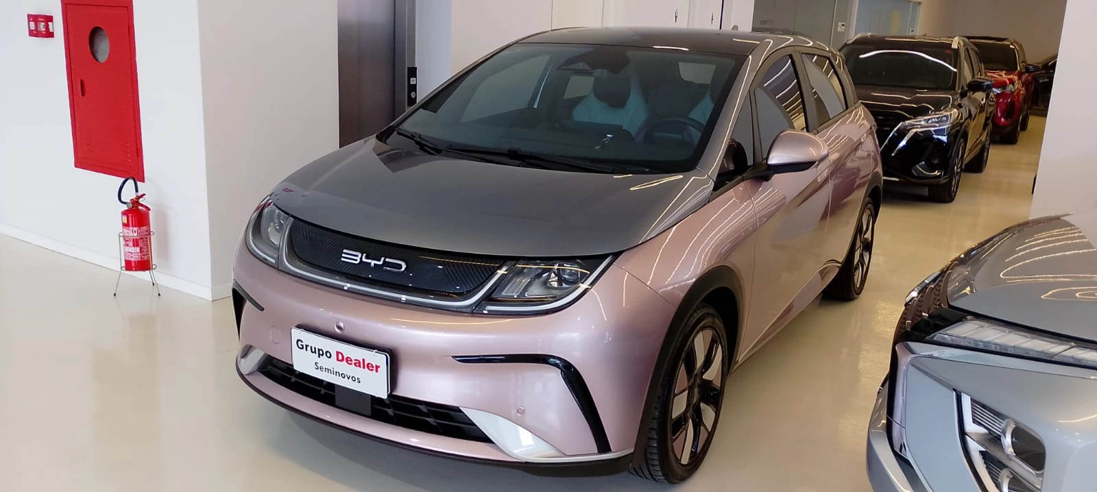 byd DOLPHIN 60,5 KW ELÉTRICO PLUS 20242