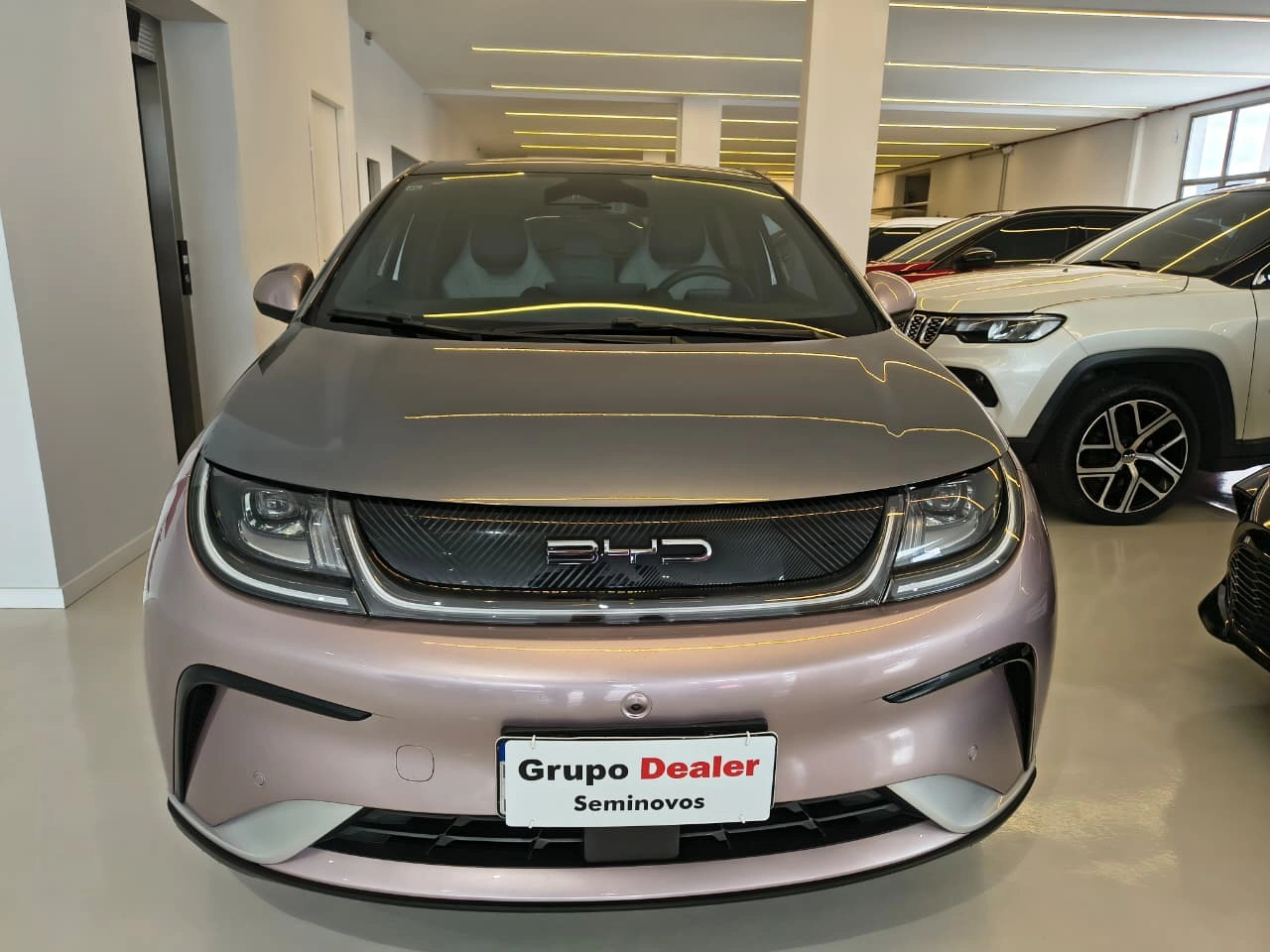 byd DOLPHIN 60,5 KW ELÉTRICO PLUS 20241