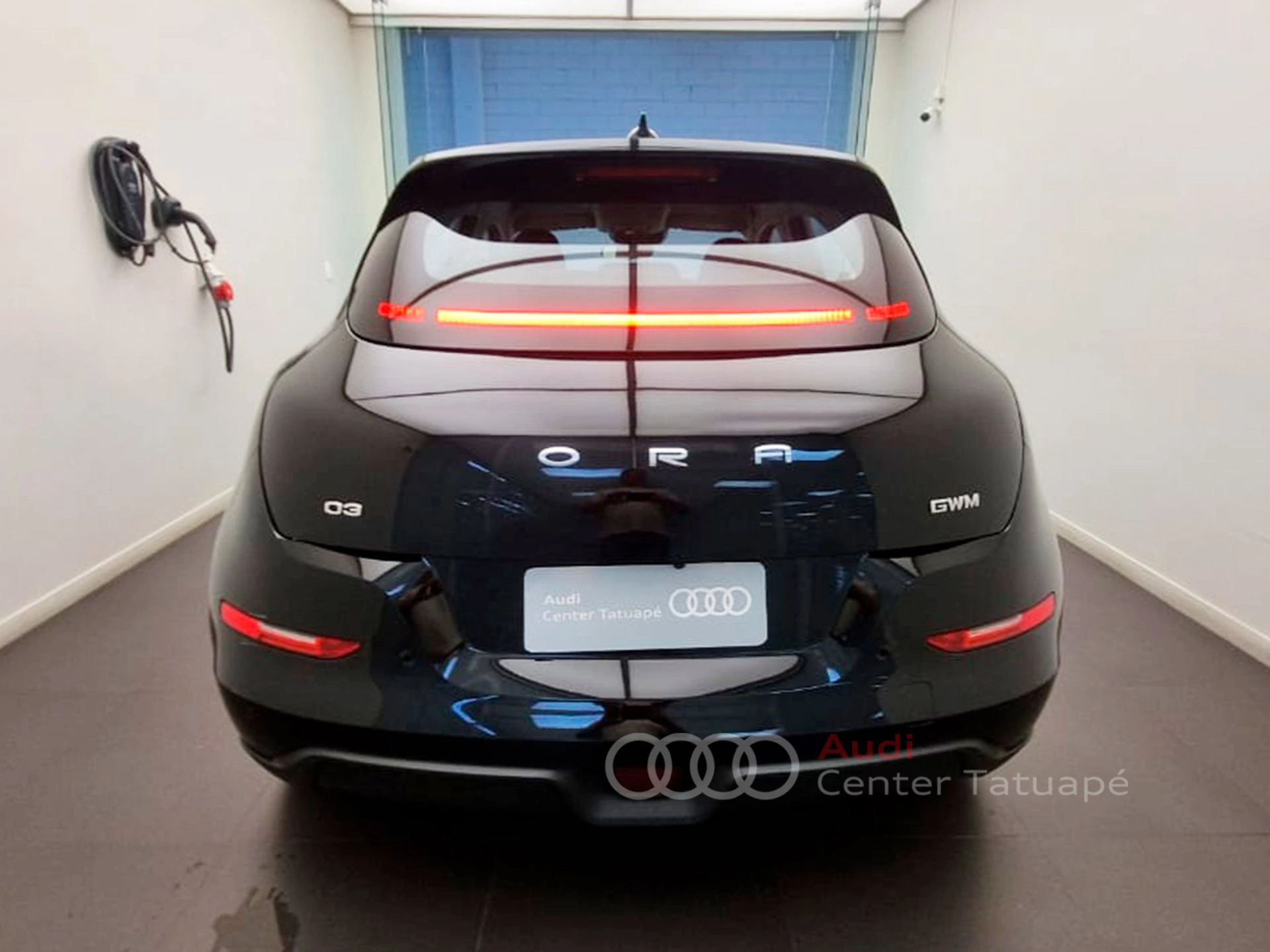 gwm ORA 03 48 KW ELÉTRICO SKIN 20244