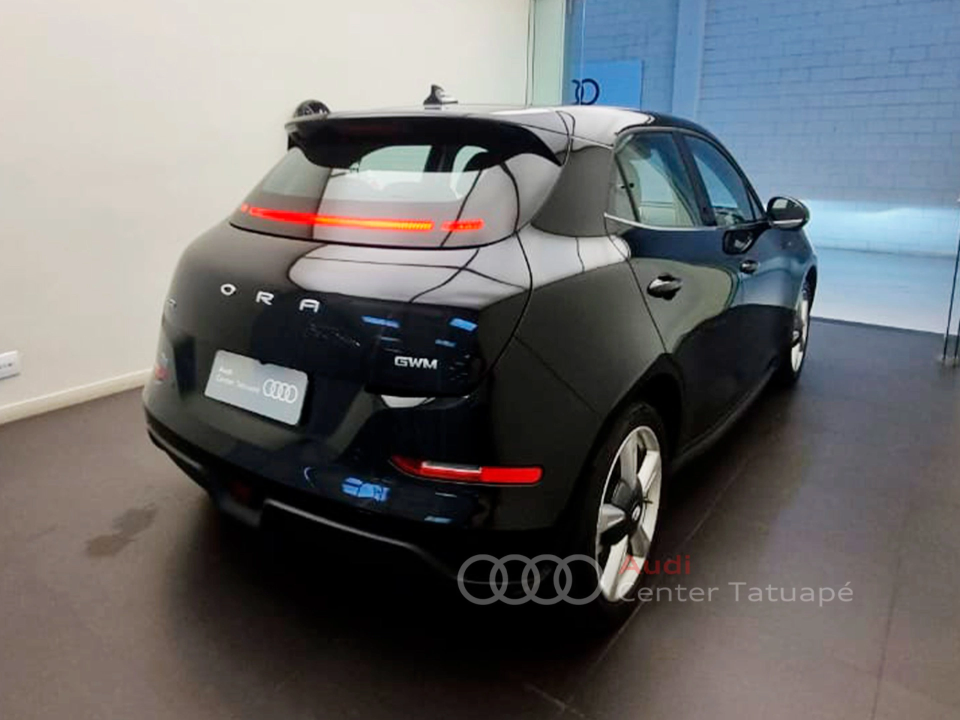 gwm ORA 03 48 KW ELÉTRICO SKIN 20243